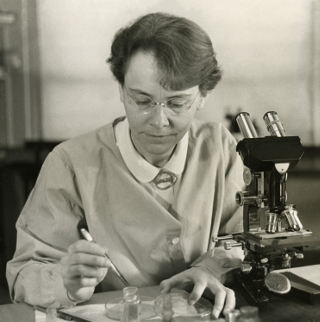 Barbara mcClintock al microscopio binoculare