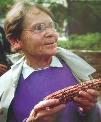 Barbara mcClintock con una pannocchie del mais