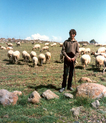 Dintorni di Vizzini